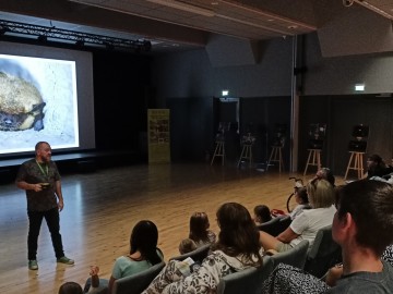 Noc nietoperzy w Zapolicach, 